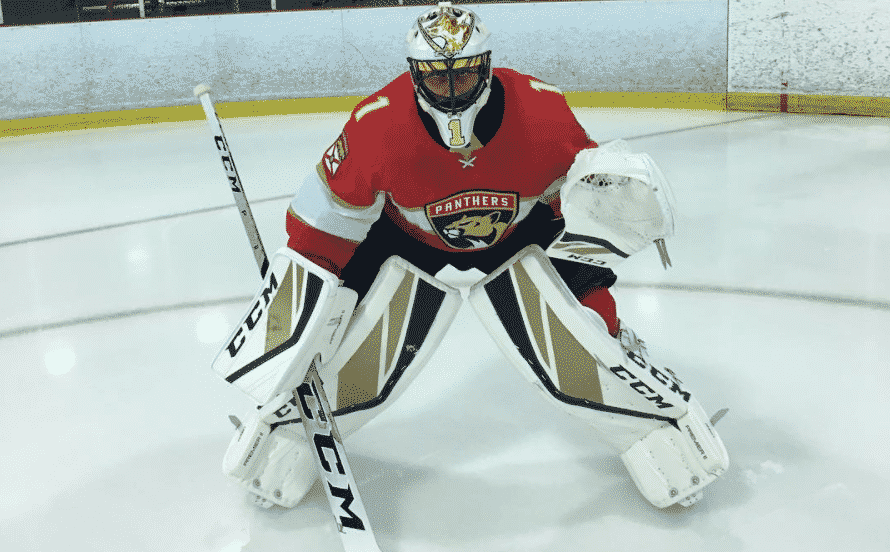 reebok premier series 2 goalie pads