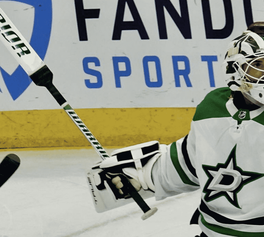 Braden Holtby Goalie Pads Gear Dallas Stars