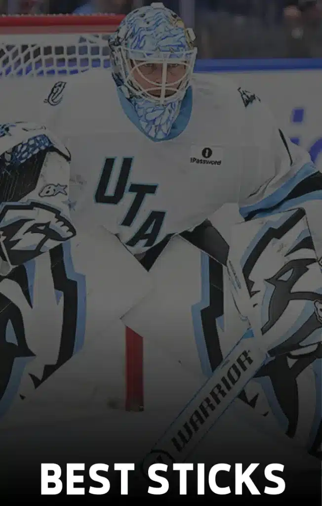 best hockey goalie sticks graphic